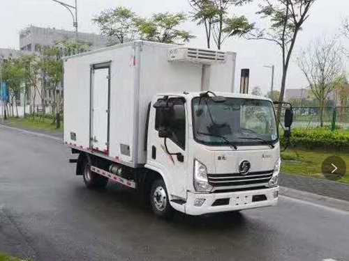 陜汽德龍國(guó)六冷藏車